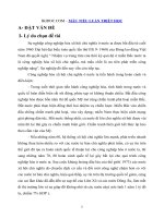 Vấn đề đổi mới lực lượng sản xuất và quan hệ sản xuất trong quá trình công nghiệp hóa, hiện đại hóa ở việt nam 