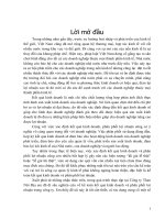 Hoàn thiện kế toán xác định kết quả kinh doanh và phân phối lợi nhuận tại công ty than nội địa 