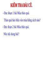 Tập đọc Hành trình của bầy ong