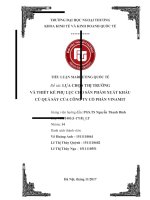 tiểu luận marketing quốc tế lựa chọn thị trường và thiết kế phụ lục cho sản phẩm xuất khẩu củ quả sấy của công ty cổ phần vinamit 