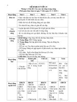 Giáo án chủ đề động vật sống trong rừng (1) 