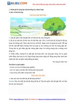 Tải Giải Ôn tập giữa học kì 2 Tiết 5, 6 trang 74, 75, 76 Tiếng Việt 2 Tập 2 sách Cánh Diều