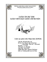 LQ 1 sô LOẠI HOA hoàn 5 6tdoc 