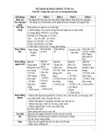 TUẦN 14 CÔNG VIỆC của các cô 