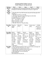 TUẦN 16 CON vật dưới nước 