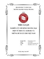 (Tiểu luận FTU) NGHIÊN cứu mô HÌNH THƯƠNG mại điện tử b2b của ALIBABA và NHỮNG đề XUẤT CHO VIỆT NAM 