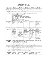 TUẦN 13 các cô GIÁO của bé 