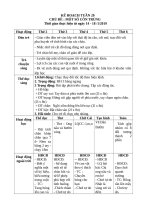 Giáo án  chủ đề côn trùng 