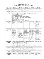 TUẦN 13 NHỮNG CON vật SỐNG TRONG GIA ĐÌNH 