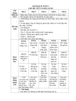 TUẦN 1  tết và mùa XUÂN 