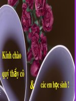 Bài giảng Ngữ văn lớp 10 bài 1: Chữ người tử tù