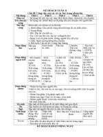 TUẦN 11, CÔNG VIỆC của các cô 