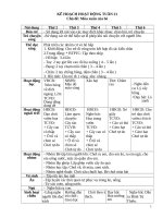 TUẦN 21 mùa XUÂN của bé 