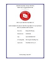 (Tiểu luận FTU) KINH NGHIỆM ỨNG DỤNG THƯƠNG mại điện tử tại tập đoàn bán lẻ ALIBABA TRUNG QUỐC 