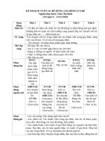 TUẦN 10 DO DUNG TRONG GIA DINH 