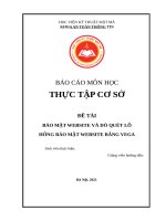 Bảo mật website và do quét lỗ hổng bằng mã nguồn mở vega ( có video demo + pp)