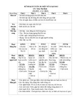 TUẦN 28   một số LOẠI RAU 