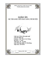 chuyen gvgg 4 5t hằngdoc 