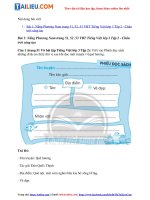 Tải Giải VBT Tiếng Việt lớp 3 Bài 1: Nắng Phương Nam trang 51, 52, 53 - Chân trời sáng tạo