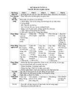 TUẦN 12 bé yêu cô GIÁO của bé 