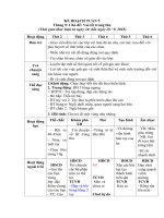 Giáo án chủ đề vui tết trung thu 
