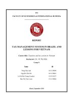(Tiểu luận FTU) tiểu luận FTU TAX MANAGEMENT SYSTEM IN BRAZIL AND LESSONS FOR VIETNAM 