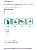 Tải Tiếng Anh lớp 3 Unit 2 Culture trang 33 iLearn Smart Start