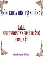 Bài giảng Sinh học 7 bài 31 sách Cánh diều: Sinh trưởng và phát triển ở động vật