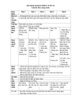 TUẦN 19 HOA TRONG vườn(ng) 