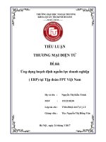 (Tiểu luận FTU) ứng dụng hoạch định nguồn lực doanh nghiệp ( ERP) tại tập đoàn FPT việt nam 