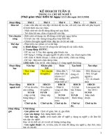 Giáo án chủ đề nghề y 