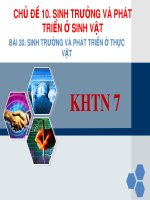 Bài giảng Sinh học 7 bài 30 sách Cánh diều: Sinh trưởng và phát triển ở thực vật