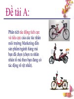 Phân tích tác động tích cực và tiêu cực của các tác nhân môi trường marketing đến sản phẩmngành 