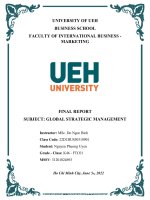 FINAL REPORT SUBJECT GLOBAL STRATEGIC MANAGEMENT critically present your understading about global positioning 