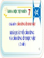Bài giảng Sinh học 7 bài 27 sách Cánh diều: Khái quát về cảm ứng và cảm ứng ở thực vật