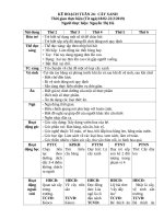 TUẦN 24 cây XANH  doc 