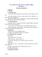 Giáo án Khoa học tự nhiên 7 bài 17 sách Kết nối tri thức: Ảnh của một vật qua gương phẳng