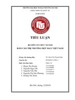 (Tiểu luận FTU) báo cáo THỊ TRƢỜNG dệt MAY VIỆT NAM 