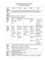 TUẦN 19 HOA TRONG vườn(ng) 