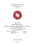 tiểu luận kinh tế học quốc tế II tác động của quá trình hội nhập APEC đối với sự phát triển của việt nam và vấn đề biển đông 