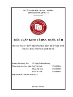 tiểu luận kinh tế học quốc tế II phát triển thương mại điện tử ở việt nam trong bối cảnh nền kinh tế số 