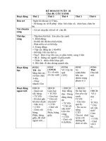 TUẦN 26  cây xanh 