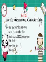 Bài giảng Sinh học 7 bài 22 sách Cánh diều: Các yếu tố ảnh hưởng đến hô hấp tế bào
