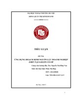 (Tiểu luận FTU) ỨNG DỤNG HOẠCH ĐỊNH NGUỒN lực DOANH NGHIỆP (ERP) tại SAIGON CO OP 