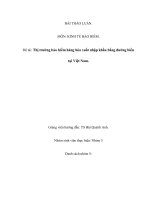 Thị trường bảo hiểm hàng hóa xuất nhập khẩu bằng đường biển tại việt nam 