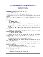 Giáo án Khoa học tự nhiên 7 chương 8 sách Kết nối tri thức: Ôn tập cảm ứng ở sinh vật