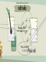 Bài giảng Hóa học 7 bài 4 sách Cánh diều: Phân tử, đơn chất, hợp chất