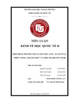 (Tiểu luận FTU) hiệp định thương mại việt nam   EU (EVFTA) triển vọng, thách thức và một số khuyến nghị 