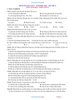  de thi giua HK1 sinh 11 nam 2022 2023 de 1 