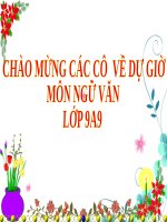 ÁNH TRĂNG Nguyễn Duy